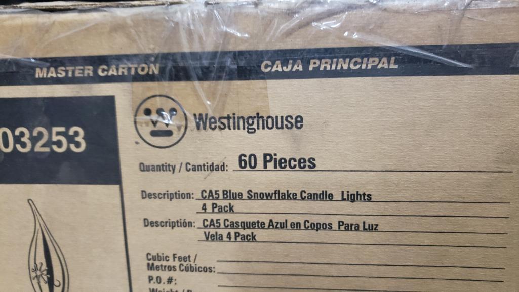 Westinghouse master Carton 4ca5 10030721032520