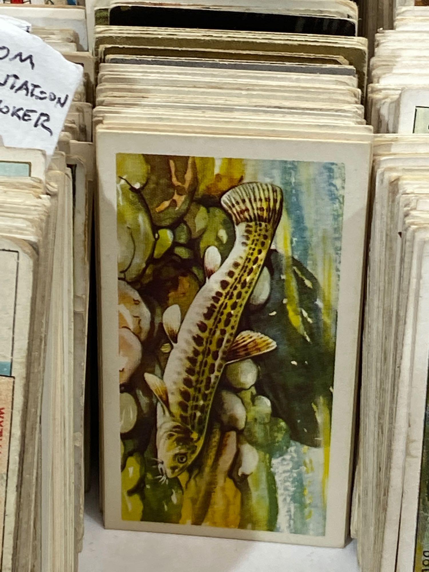 Box of Vintage Cigarette Cards