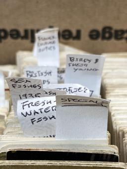 Box of Vintage Cigarette Cards