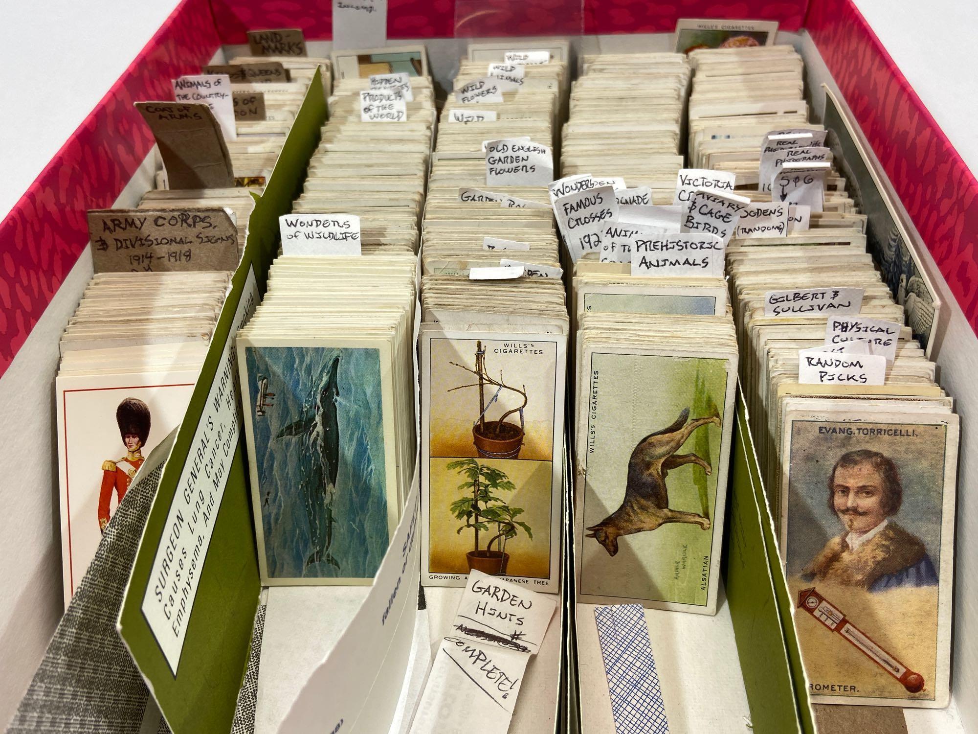 Box of Vintage Cigarette Cards