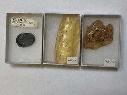 Fossils, Amber with Trapped Insects