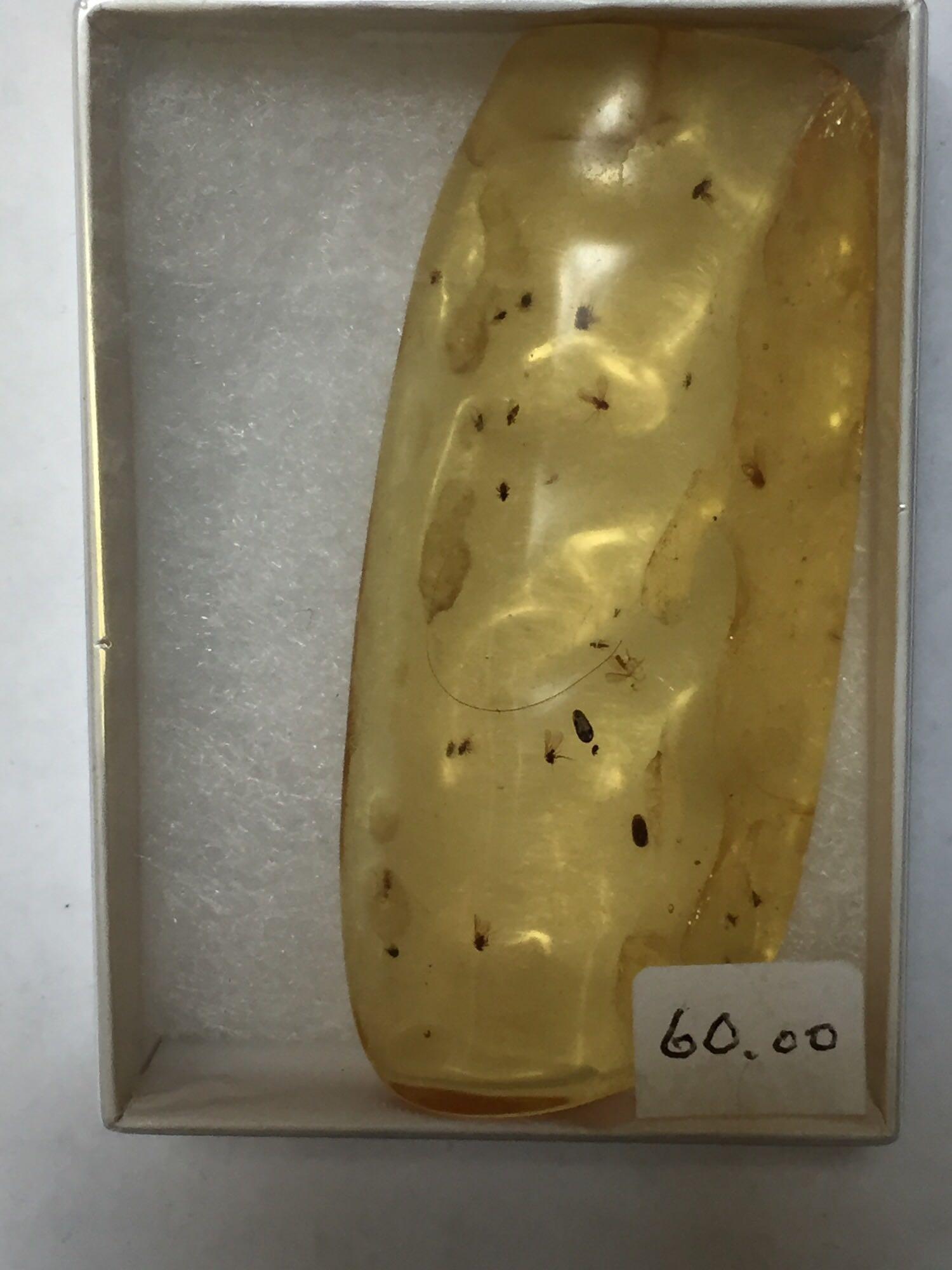 Fossils, Amber with Trapped Insects