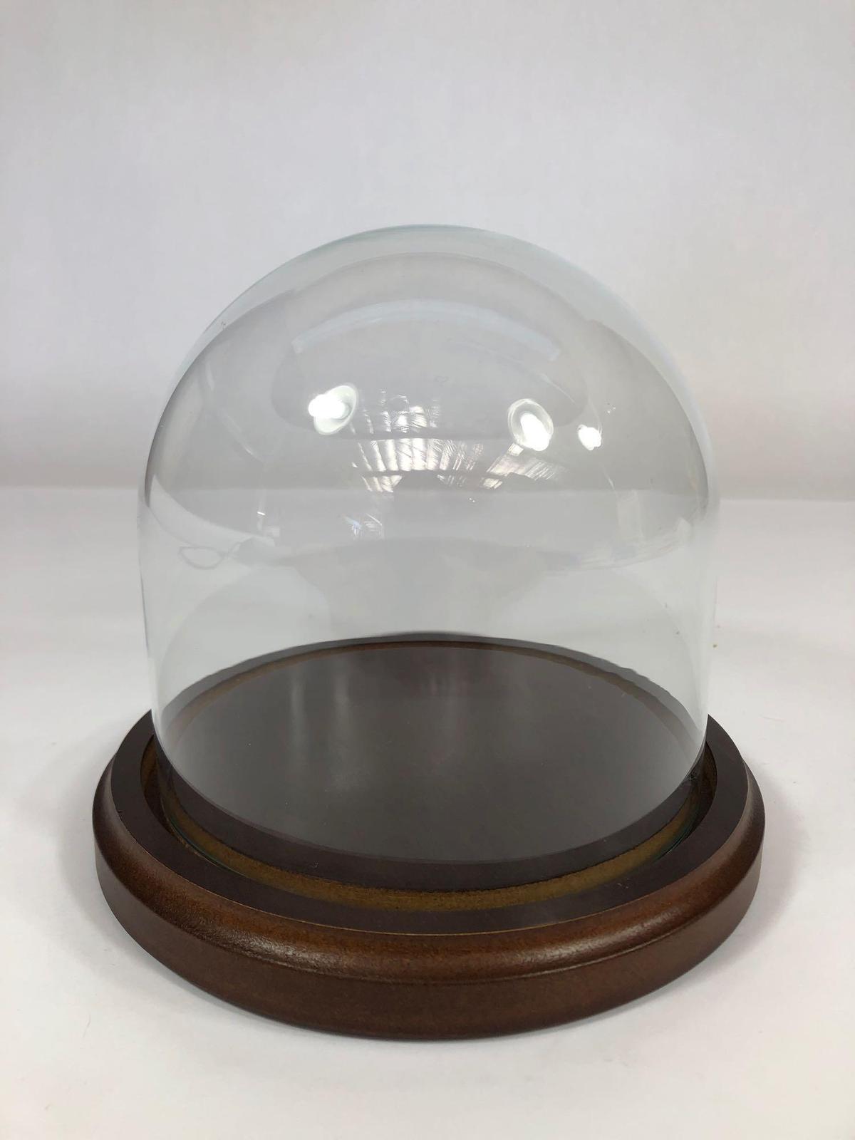 Elegant Wood & Domed Glass Display