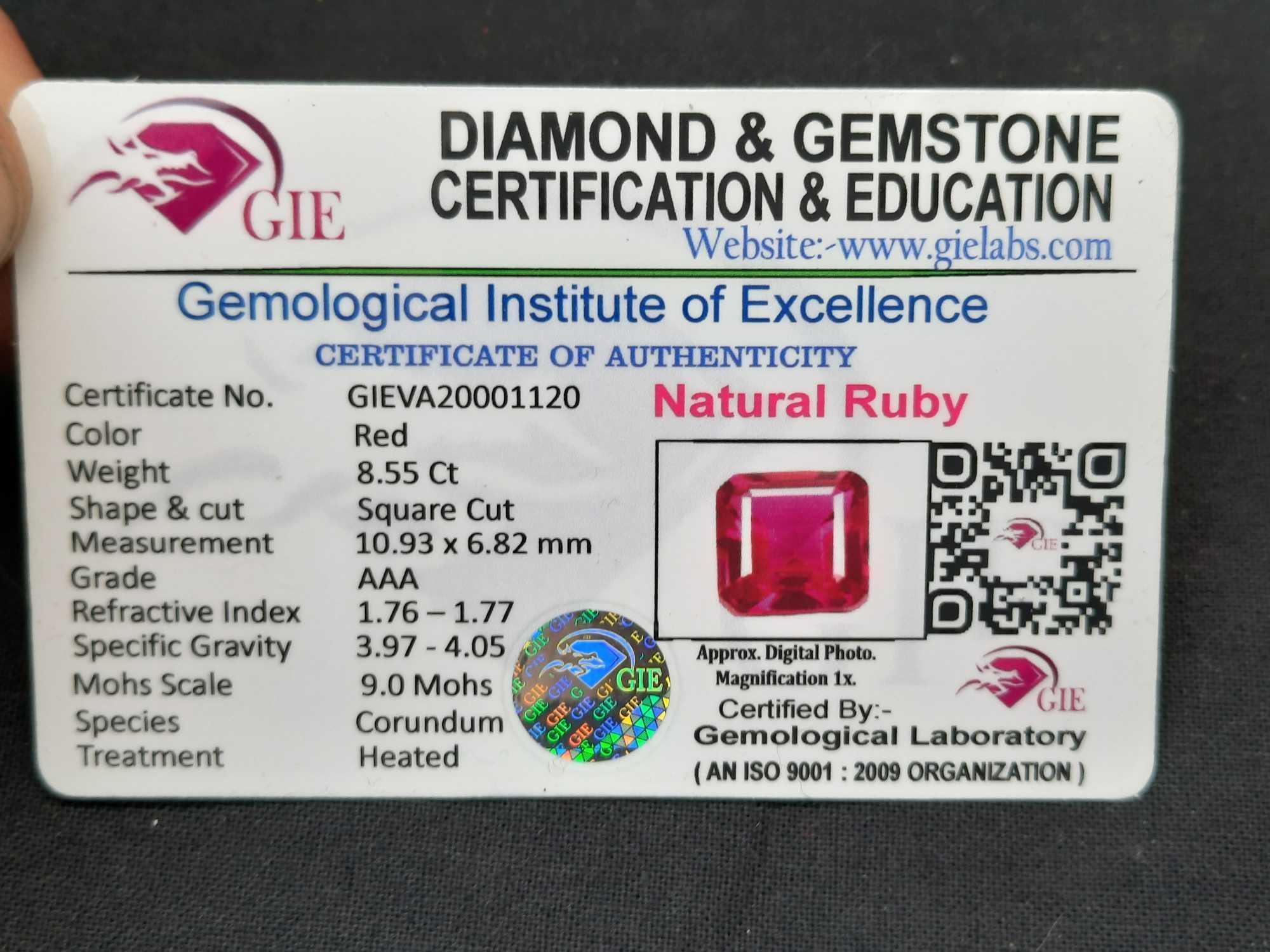 8.55ct Blood Red Ruby Natural Mined Gem Stone Genuine w/ GIE Card