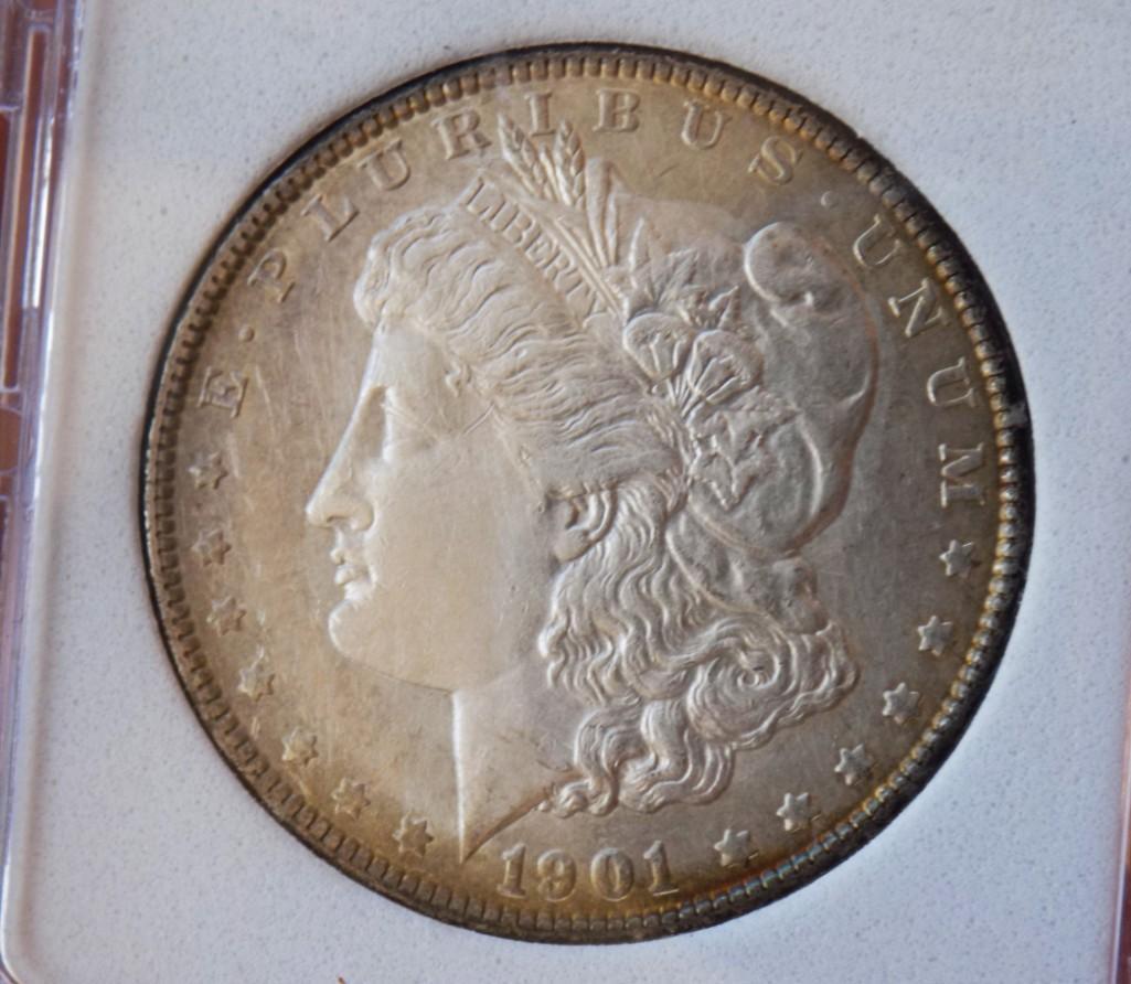Morgan silver dollar 1901 p blazing pastel toned bu++ stunning mega rare date pq