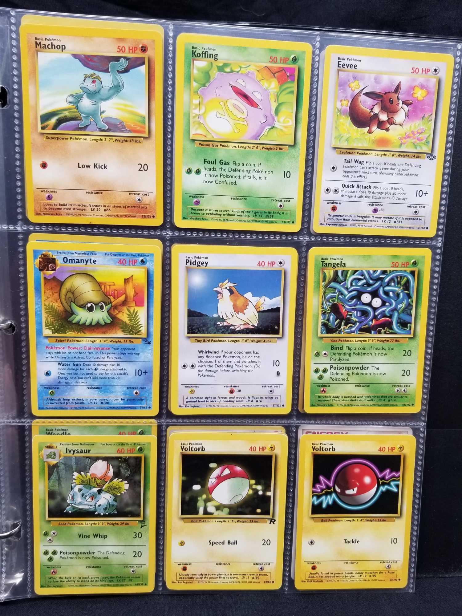 Pokemon Cards In Pages Halos Japanese