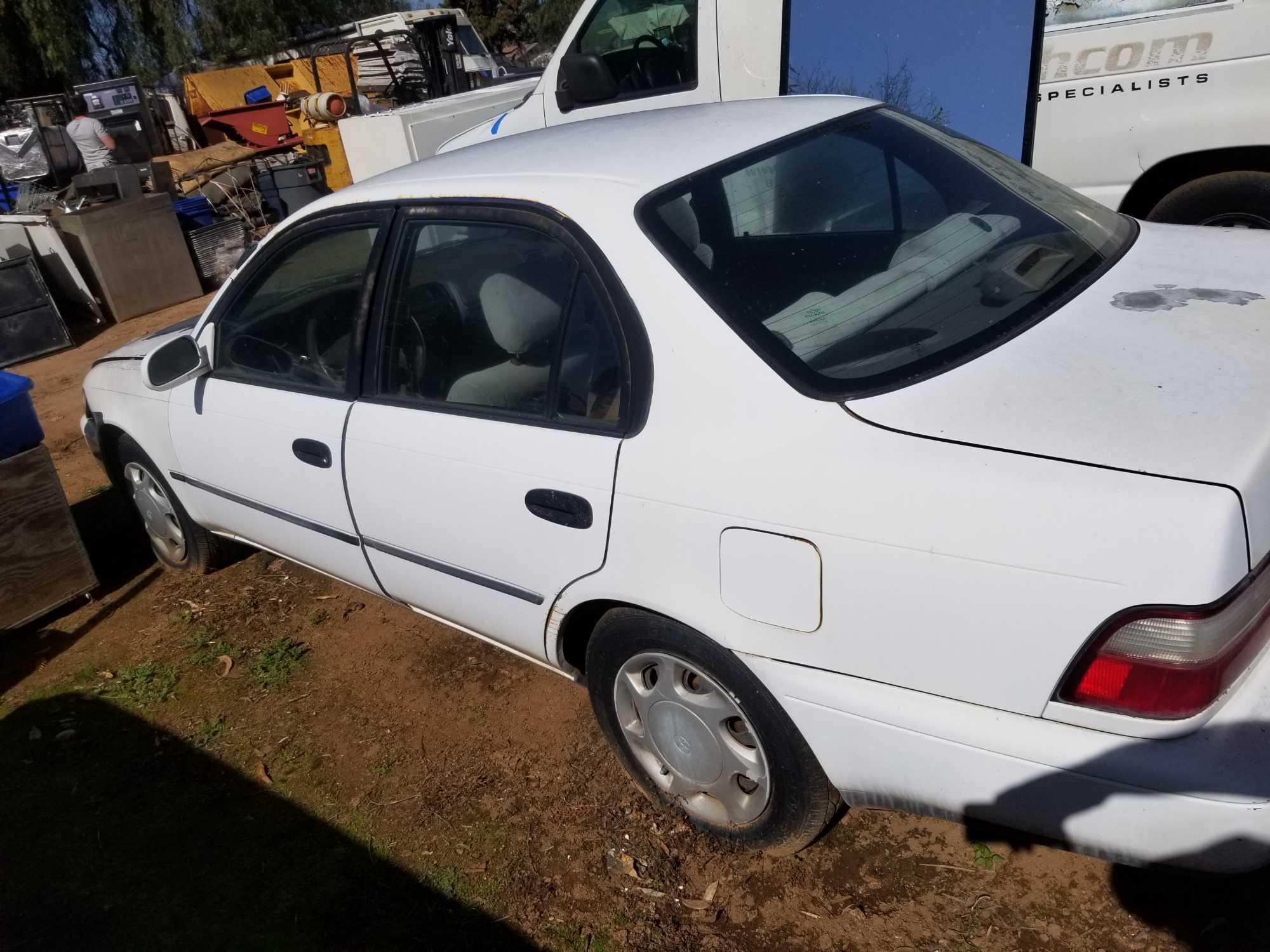 1995 Toyota Corolla Car