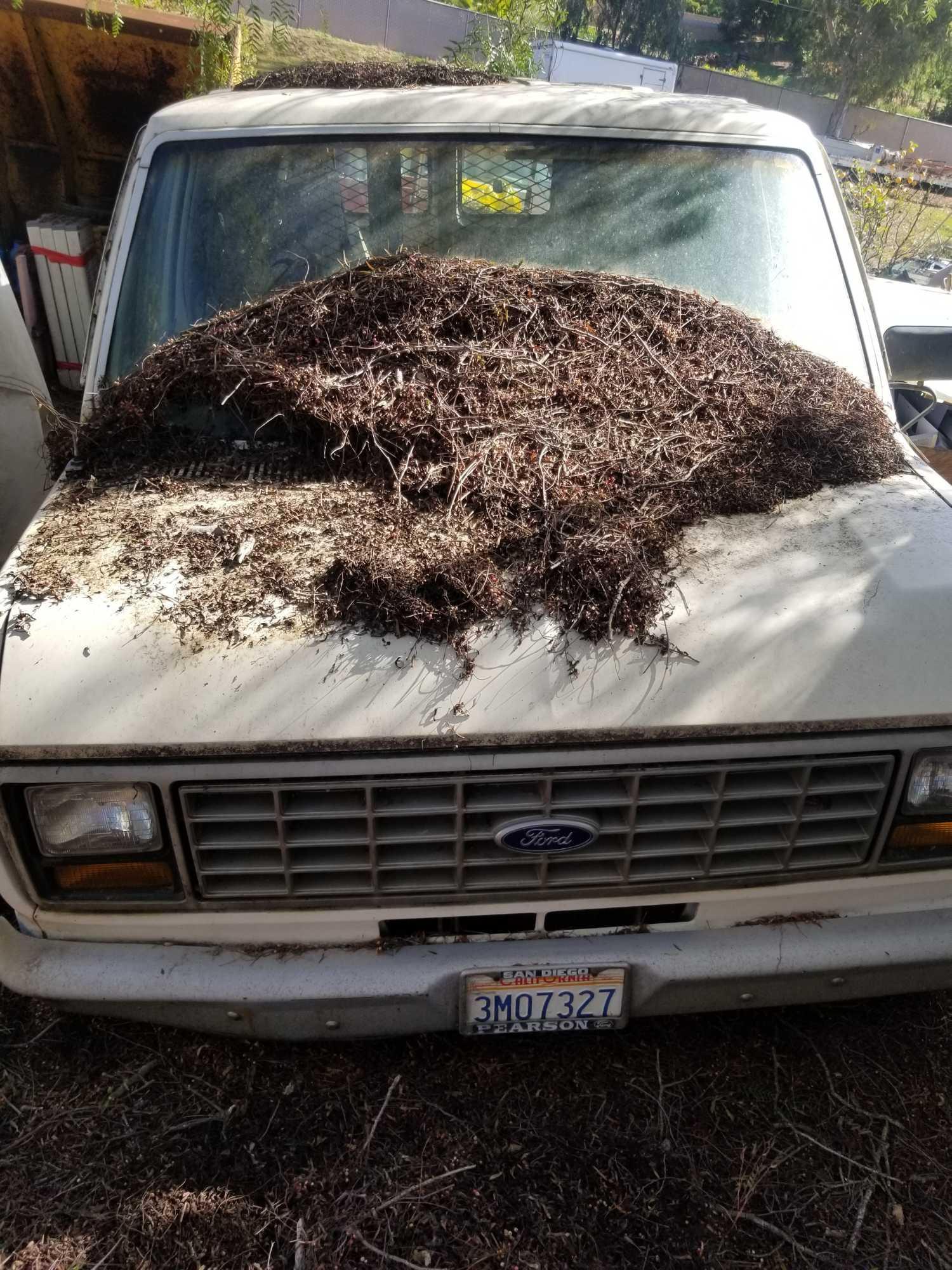 1988 Ford Econoline 150 Cargo Van