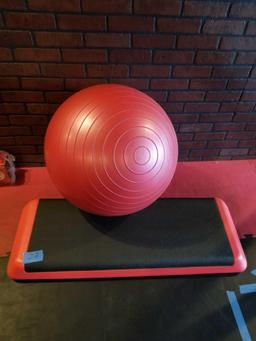 Step Up Plank Spri Exercise Ball 2 Units