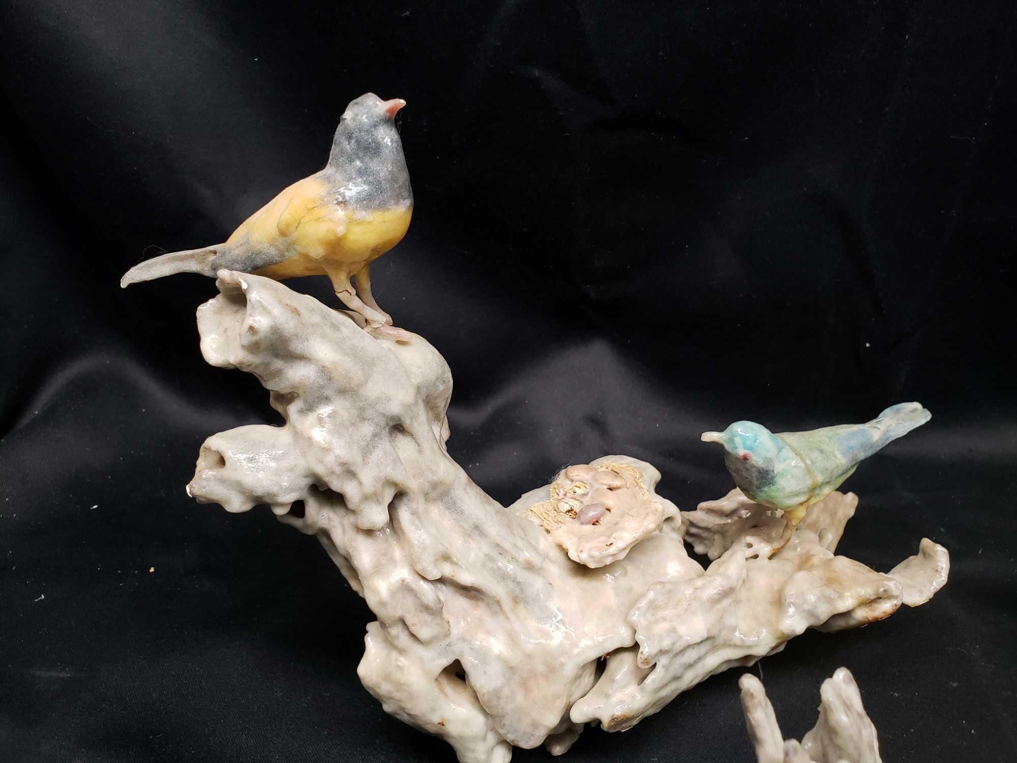 Wax covered birds with nests