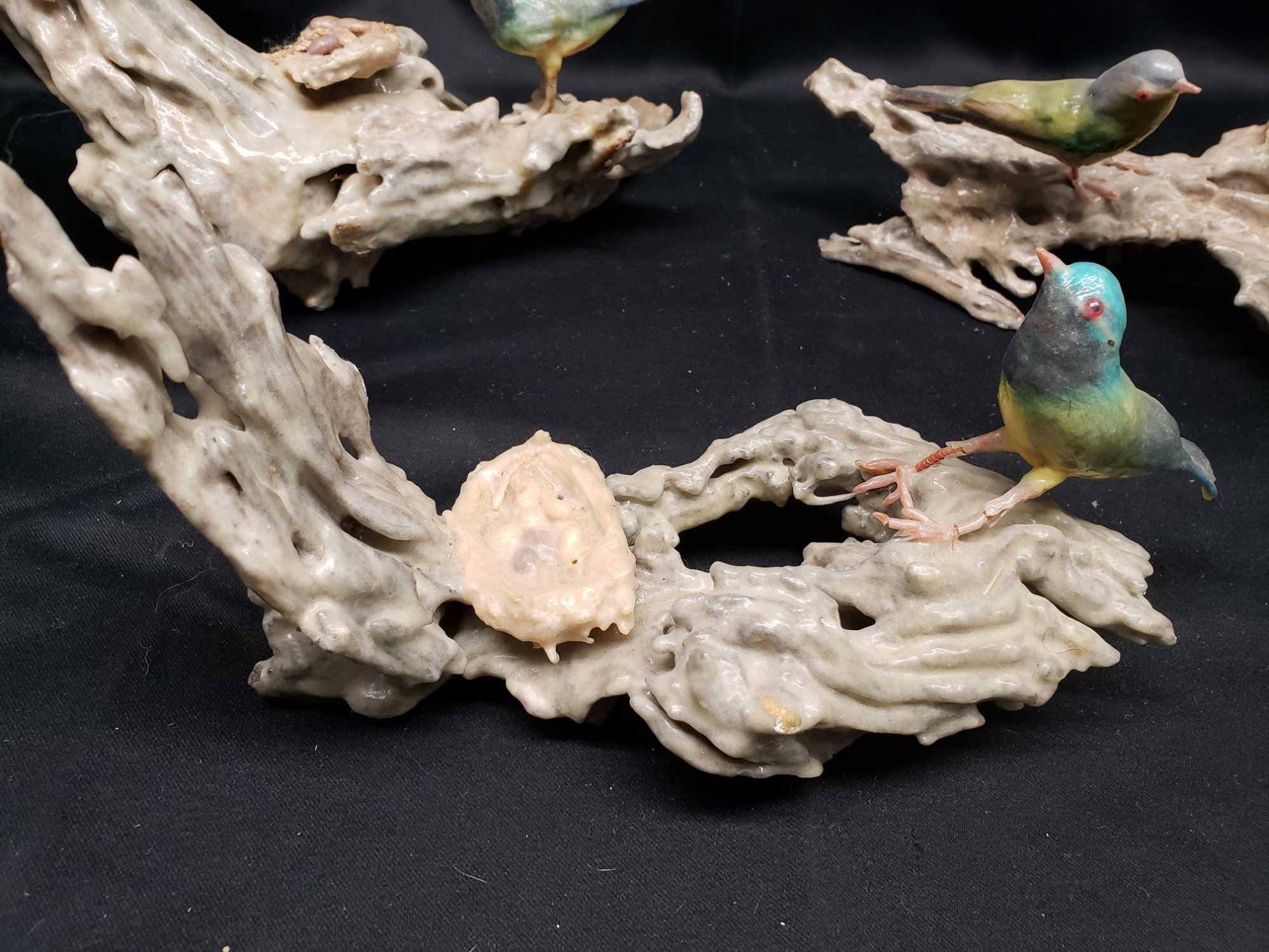 Wax covered birds with nests