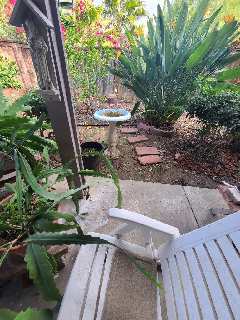 Backyard - Gas BBQ Grill, Large Potted Plants, Religious Statues, Wood Benches, Swings, etc.