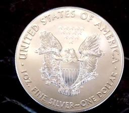 American silver eagle 2019 frosty white gem bu blazing 1 troy oz round