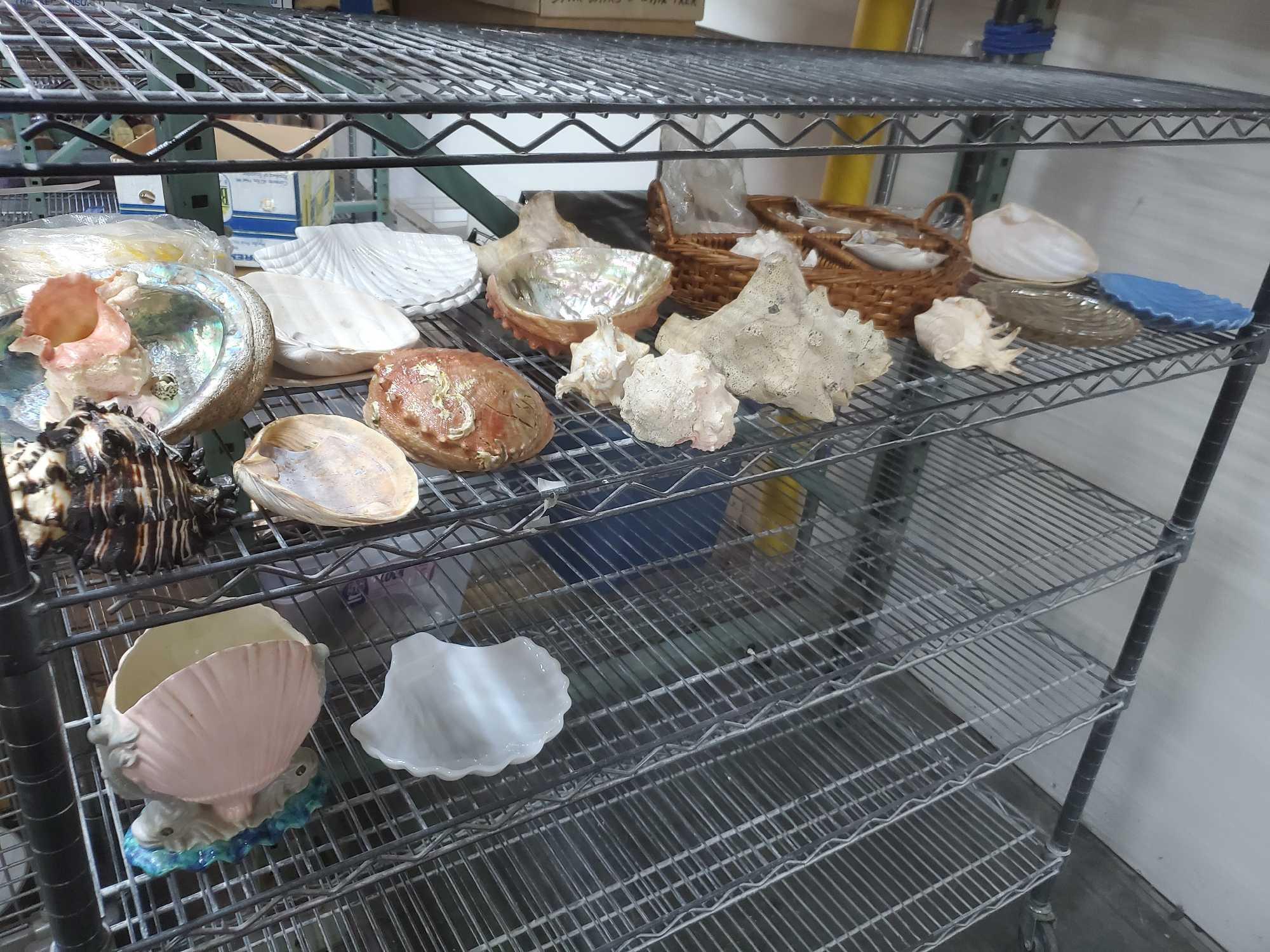 lot of Seashells ceramic and glass seashell themed Goodwill Location