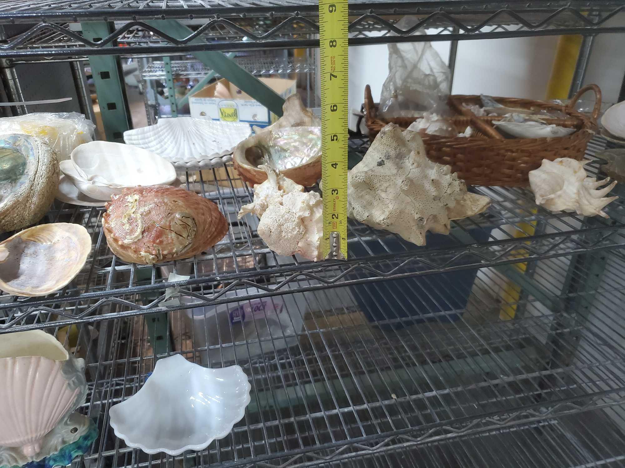 lot of Seashells ceramic and glass seashell themed Goodwill Location