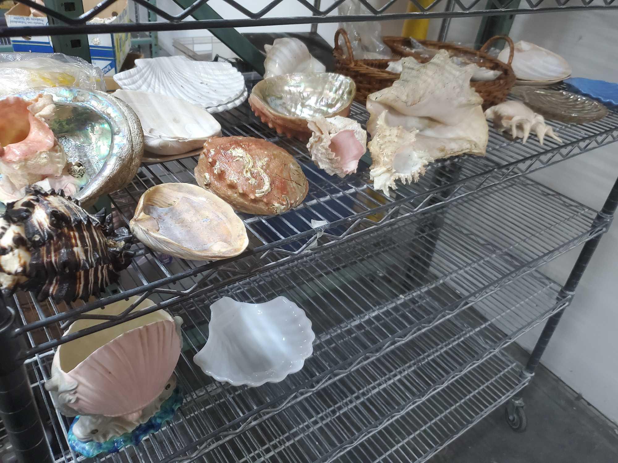 lot of Seashells ceramic and glass seashell themed Goodwill Location