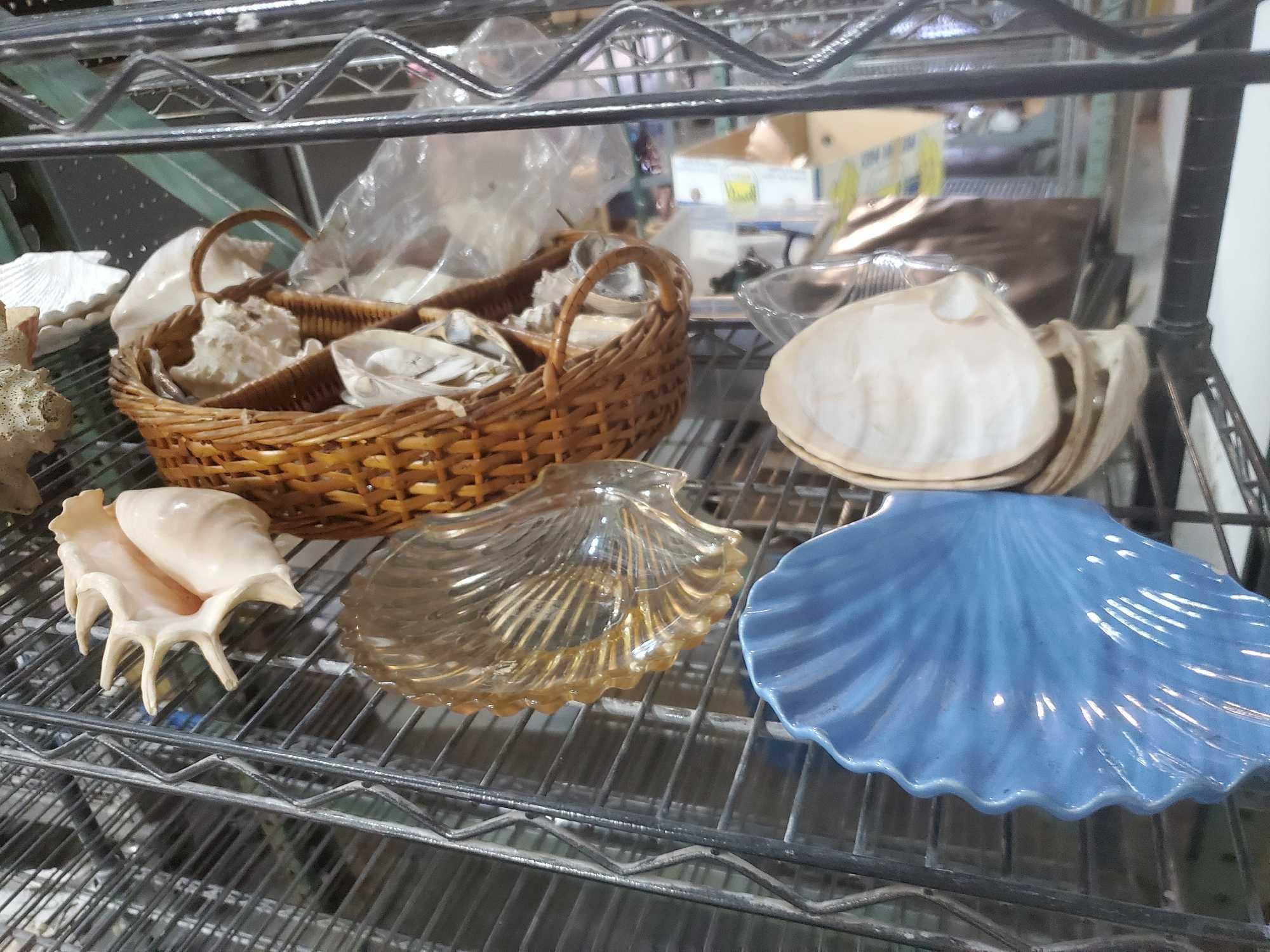 lot of Seashells ceramic and glass seashell themed Goodwill Location