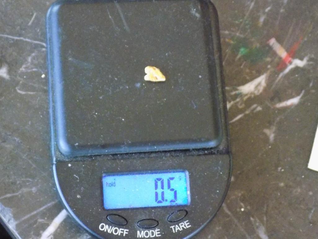 Gold Nugget Alaskan Yellow .50 Gram High Grade 18 kt Stunning Beauty