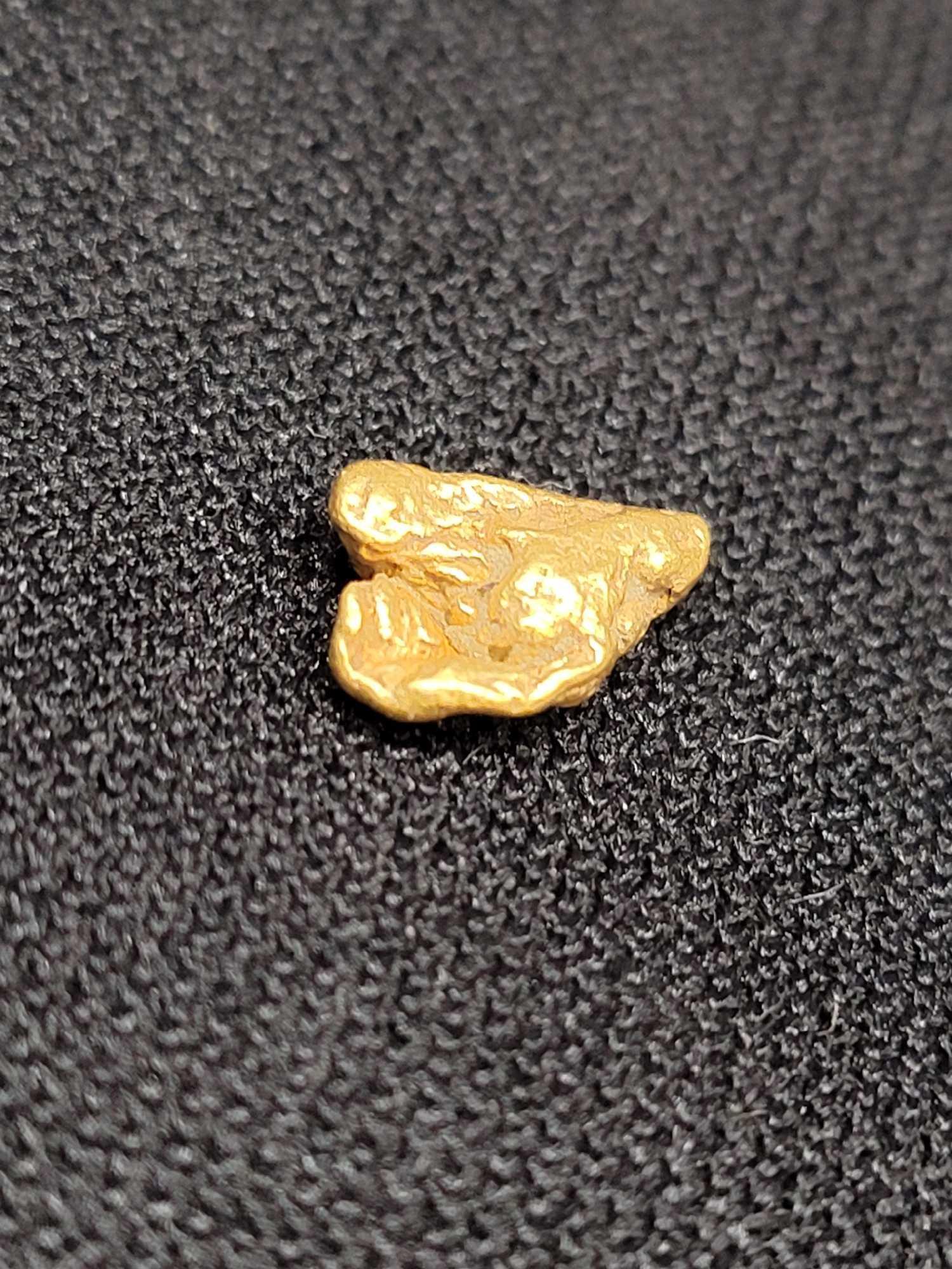 Gold Nugget Alaskan Yellow .50 Gram High Grade 18 kt Stunning Beauty