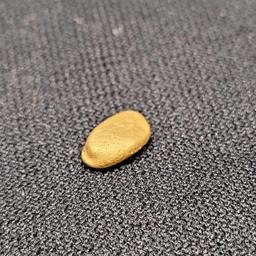 Alaskan Yellow Gold Nugget .80+ Gram Larger Nugget 18+ Kt High Quality Gold