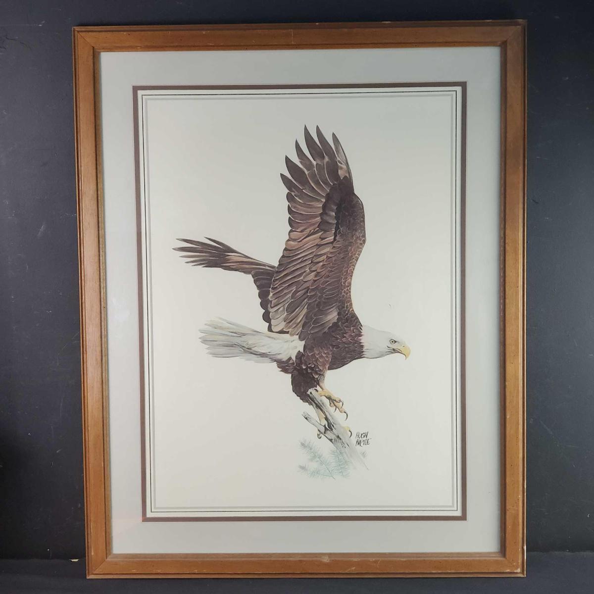 Framed American bald eagle print signed Hugh Hirtle