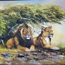 Framed oil/canvas artwork lion/lioness under bush signed Kibue