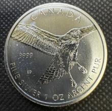 2015 Canadian Hawk 1 Troy Ounce .9999 Fine Silver $5 Round Bullion Argent PUR Coin