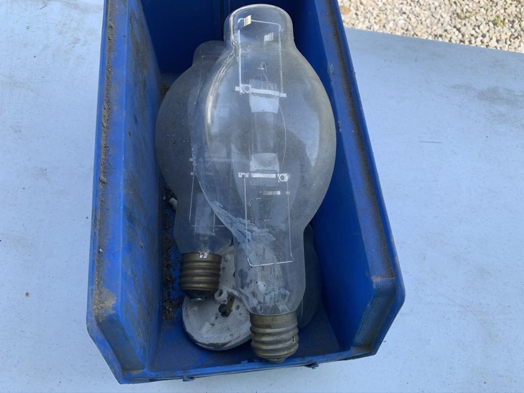 Misc. Lightbulbs With Container Included