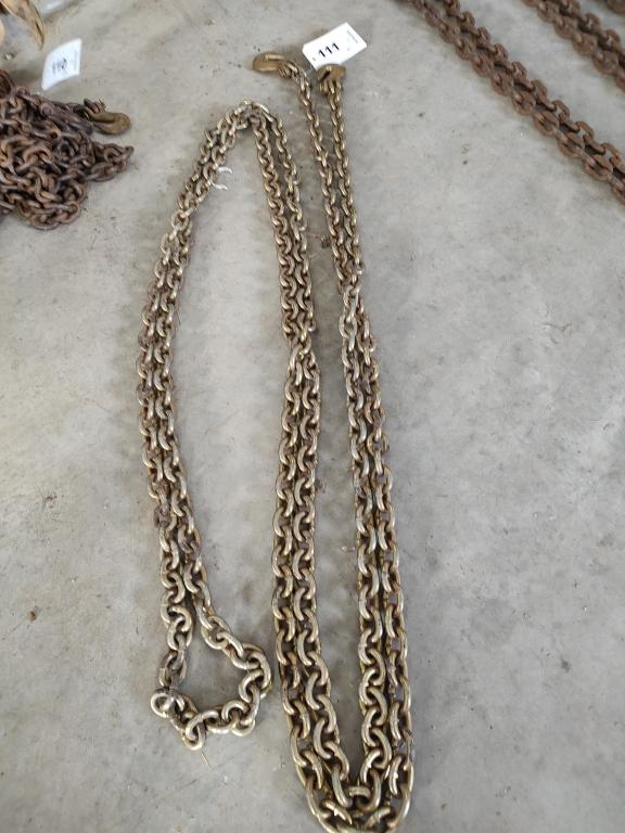 Log Chain 21ft. With hooks