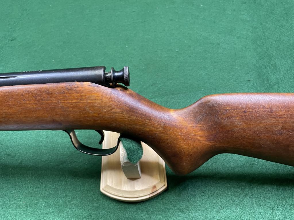 Savage Arms Hiawatha .22 Rifle