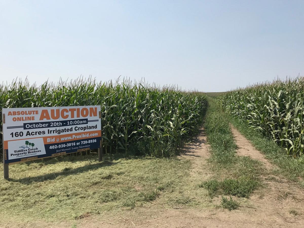 Absolute Auction - 160 Acres Saunders County Irrigated Land