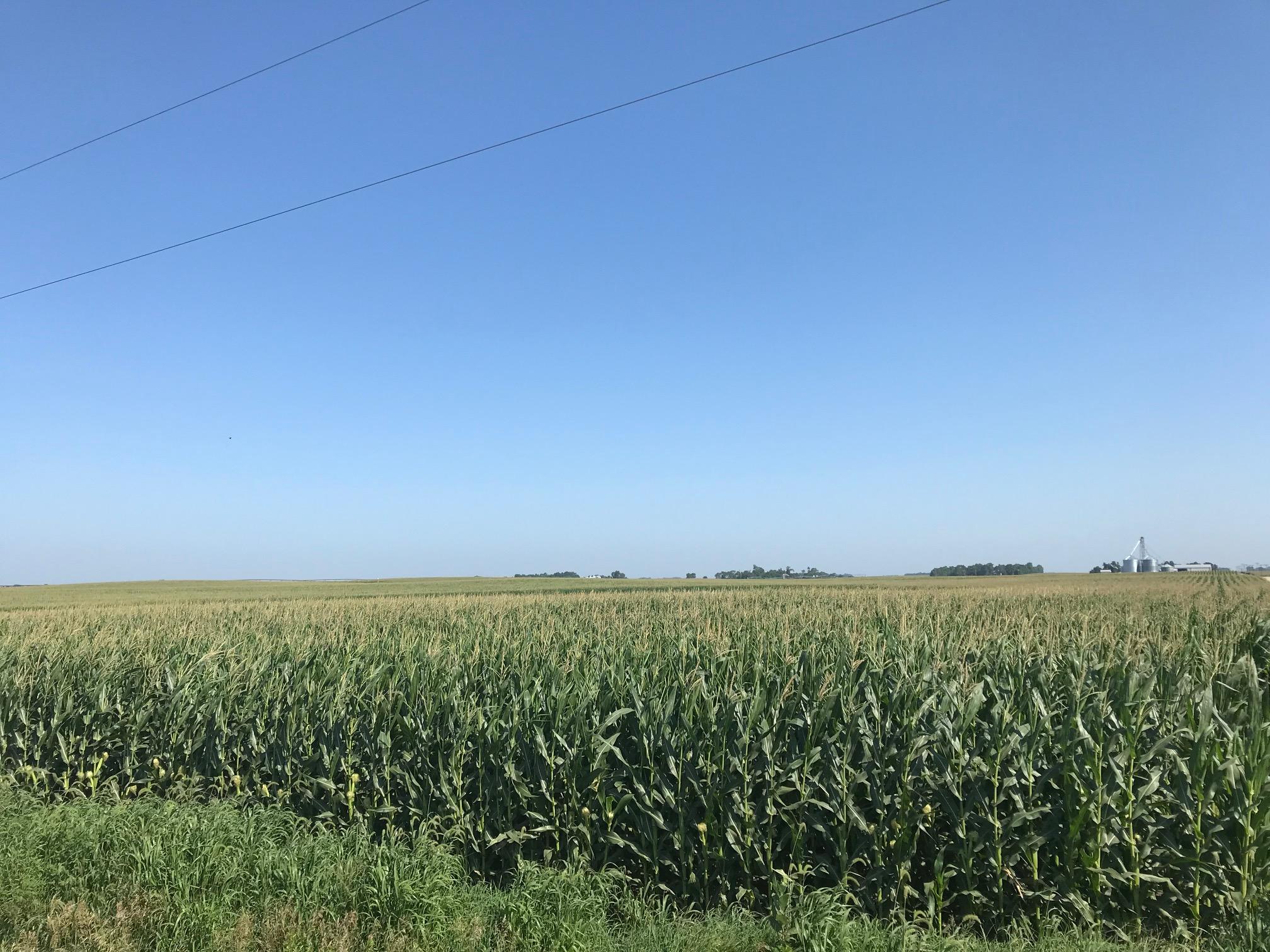 Absolute Auction - 160 Acres Saunders County Irrigated Land