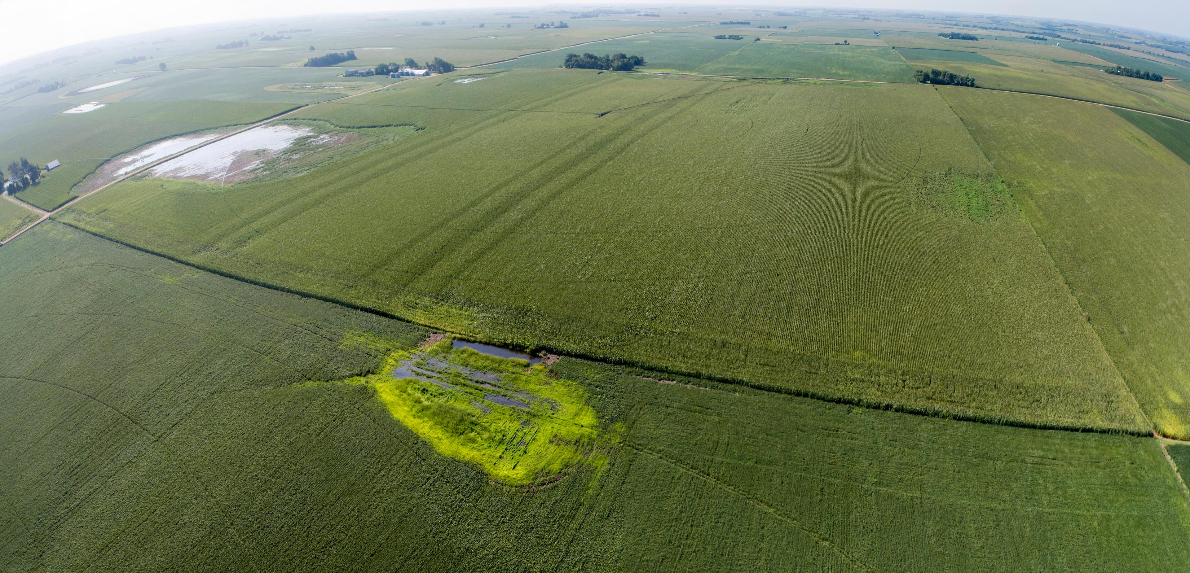 Absolute Auction - 160 Acres Saunders County Irrigated Land