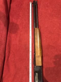 Winchester Model 190 .22 LR