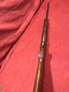 Winchester Model 74 .22 LR