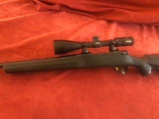 Howa Model 1500 25-06