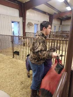 SHANE ADAMS - MUSTANG FFA - Sheep