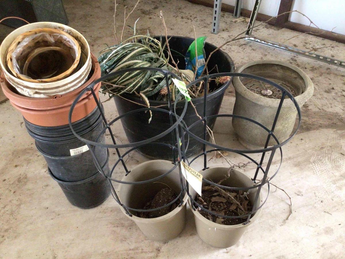 flower pots and tomato cages