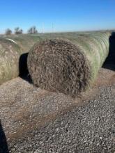 Wheat hay