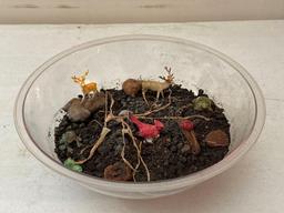 Plastic Terrarium