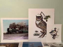 Wildlife Prints