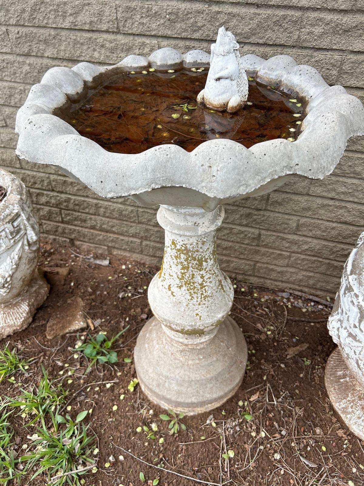 bird bath