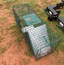 medium animal trap 12x10x32in