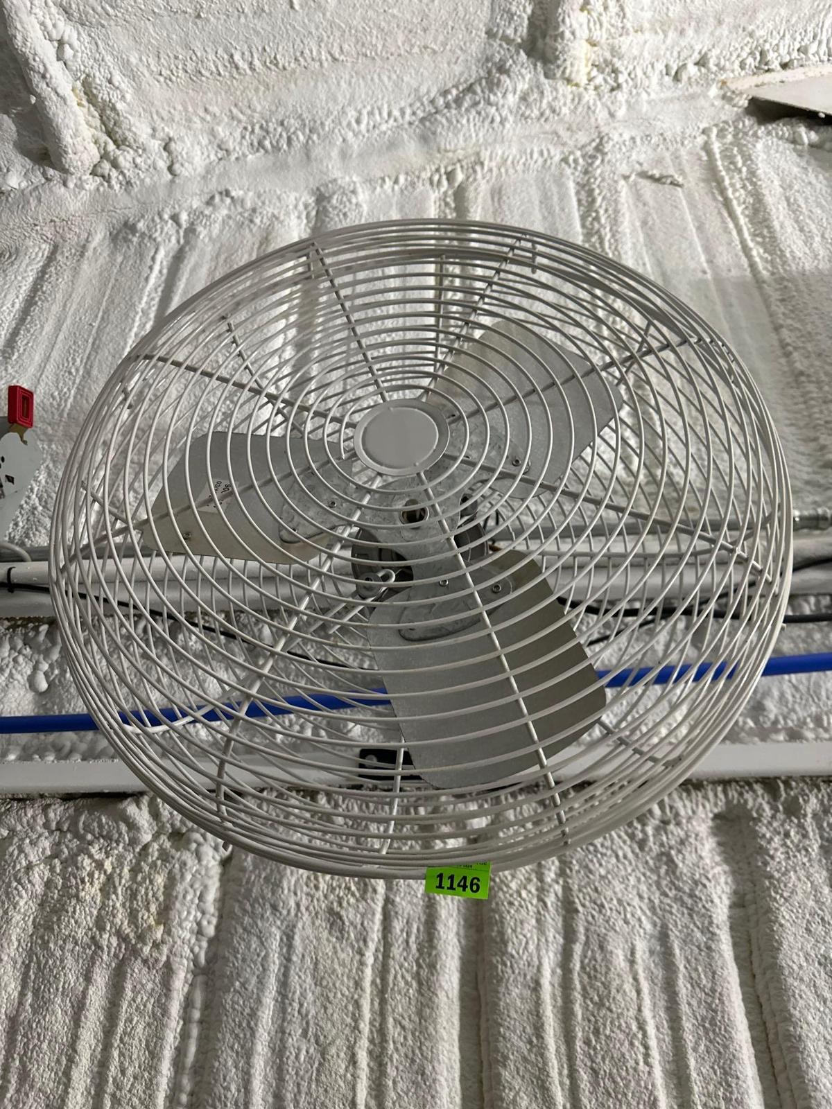 fan