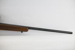 Ruger M77/17