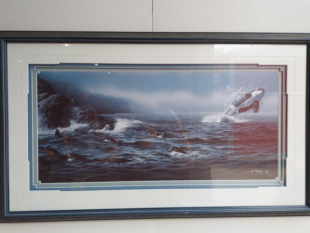 Framed Orca Art