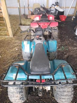 Sizuki Quad Runner 160