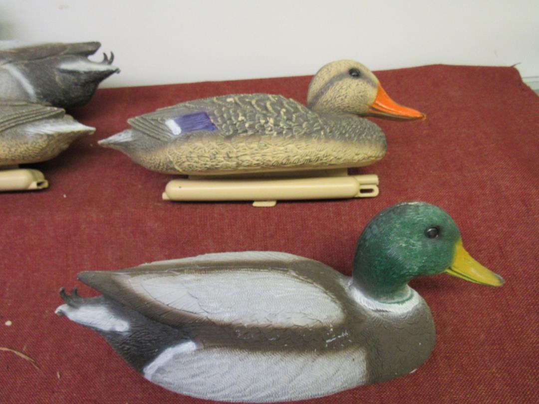 6 Mallard Duck Decoys, Previously used