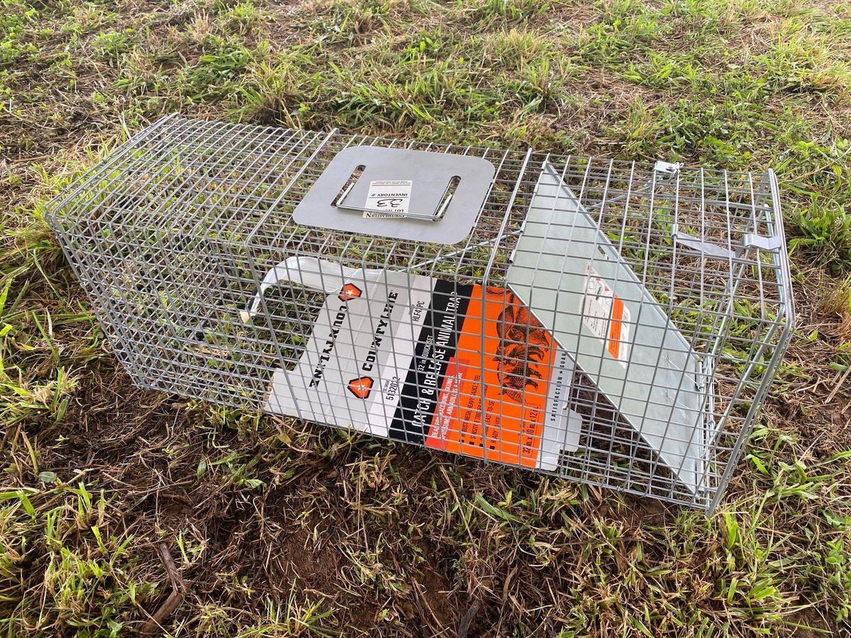 County Line Live Animal Trap (Medium)