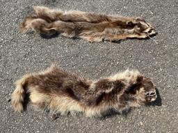 Animal Pelts